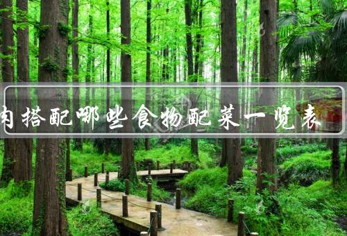 羊肉搭配哪些食物配菜一览表