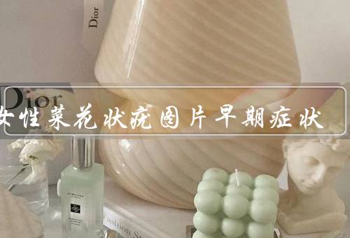 男女性菜花状疣图片早期症状