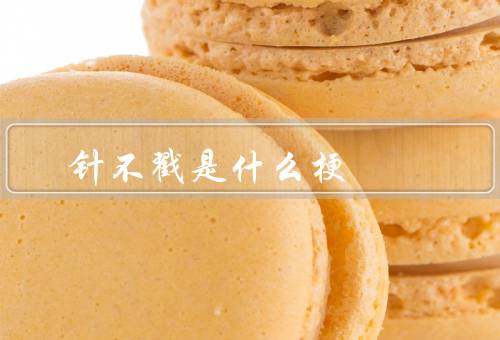 针不戳是什么梗