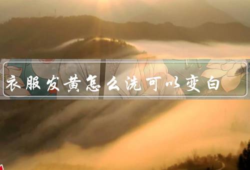 白衣服发黄怎么洗可以变白