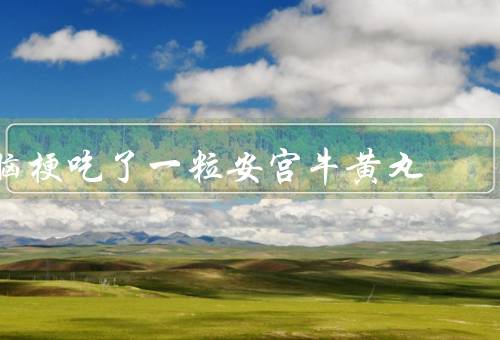 脑梗吃了一粒安宫牛黄丸