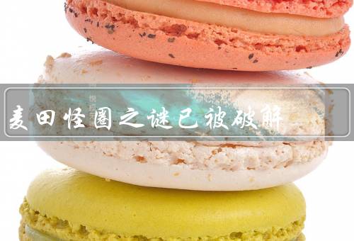 麦田怪圈之谜已被破解