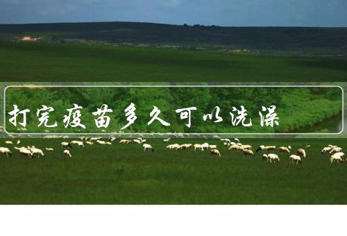 打完疫苗多久可以洗澡