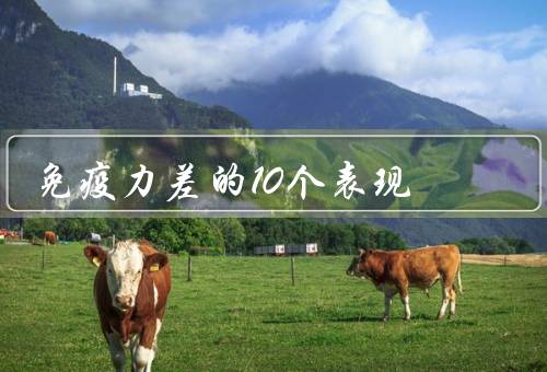免疫力差的10个表现
