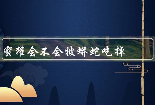 蜜獾会不会被蟒蛇吃掉