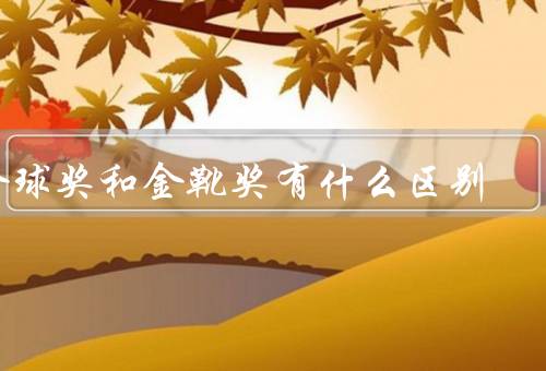金球奖和金靴奖有什么区别