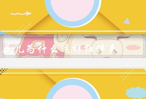 花儿为什么这样红伴奏