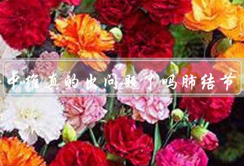 科兴中维真的出问题了吗肺结节