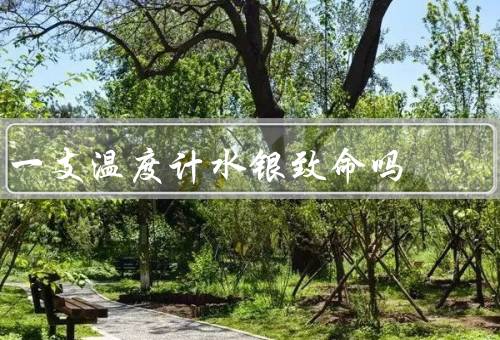 一支温度计水银致命吗，一般不会（温度计中水银量很少）