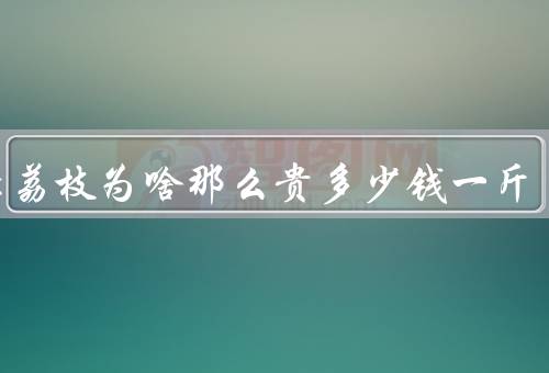 挂绿荔枝为啥那么贵多少钱一斤