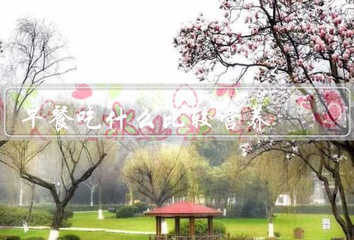 早餐吃什么比较营养