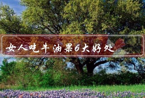 女人吃牛油果6大好处