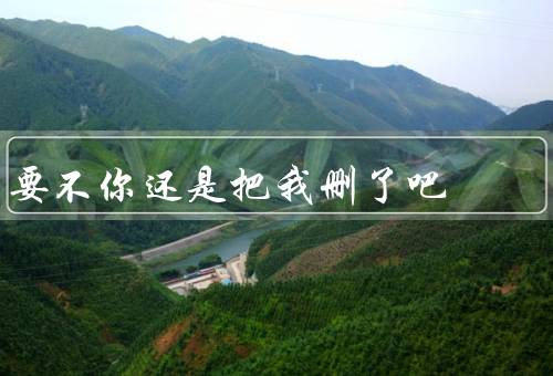 要不你还是把我删了吧