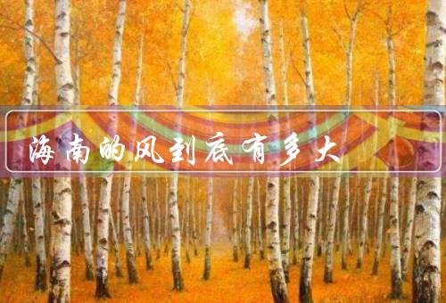 海南的风到底有多大