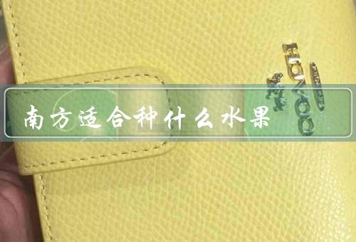 南方适合种什么水果