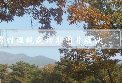 男性湿锐疣初期图片症状