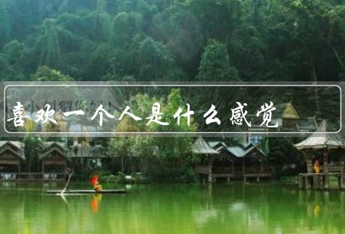喜欢一个人是什么感觉