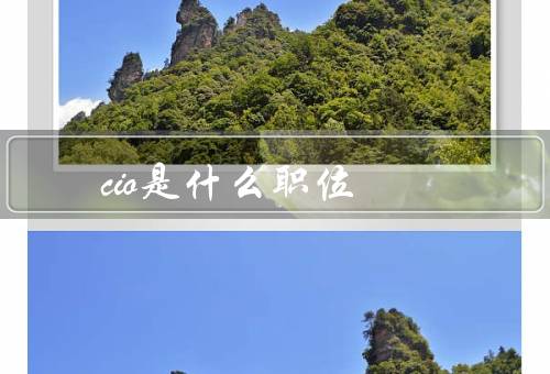 cio是什么职位