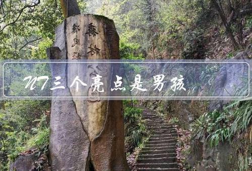 NT三个亮点是男孩