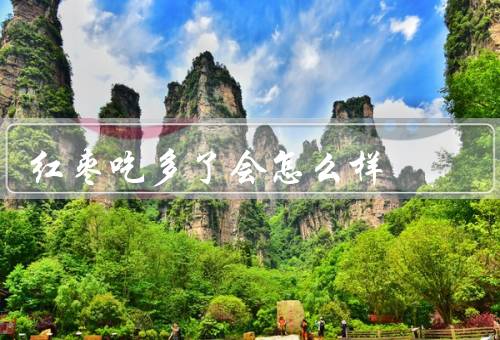 红枣吃多了会怎么样