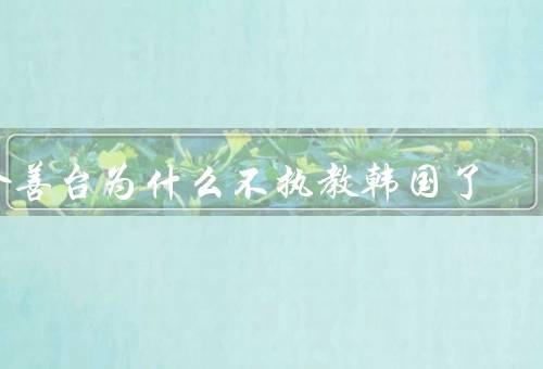 金善台为什么不执教韩国了