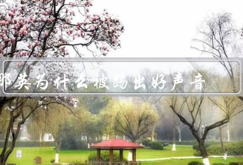 那英为什么被踢出好声音