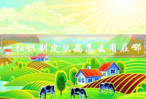 百度扫一扫识别皮肤病怎么用在哪里