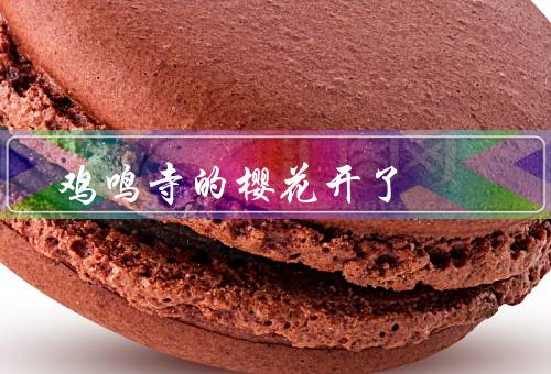鸡鸣寺的樱花开了