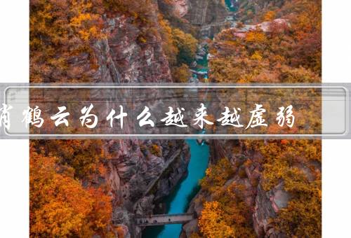 肖鹤云为什么越来越虚弱