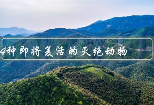 4种即将复活的灭绝动物