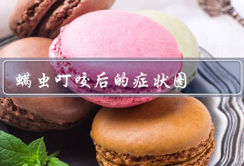 螨虫叮咬后的症状图