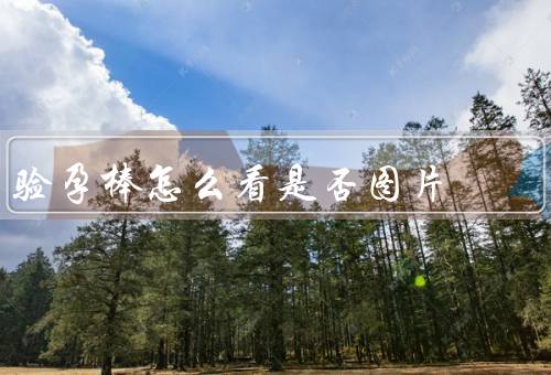 验孕棒怎么看是否图片