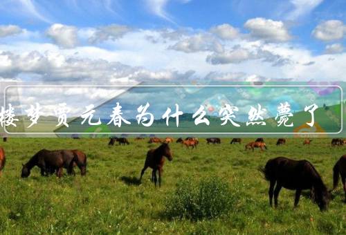 红楼梦贾元春为什么突然薨了