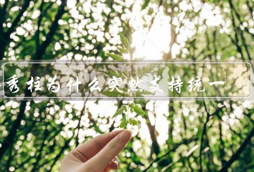 洪秀柱为什么突然支持统一