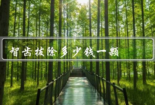 智齿拔除多少钱一颗