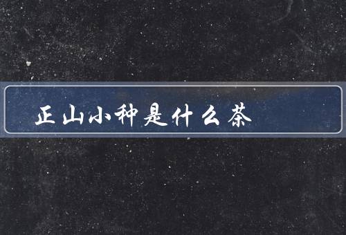正山小种是什么茶