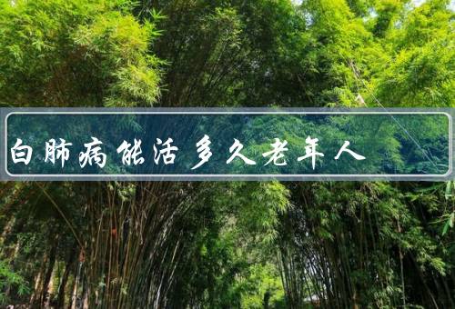 白肺病能活多久老年人