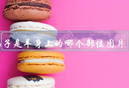 羊蝎子是羊身上的哪个部位图片