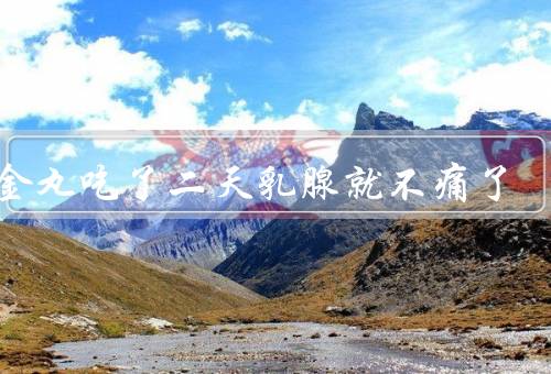 小金丸吃了二天乳腺就不痛了