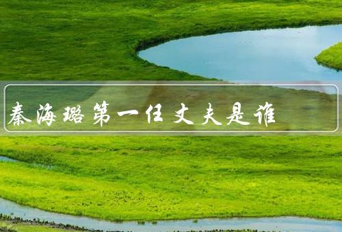 秦海璐第一任丈夫是谁