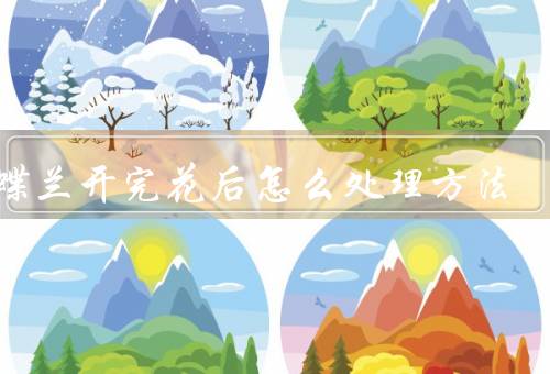 蝴蝶兰开完花后怎么处理方法