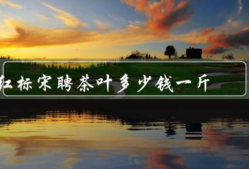 红标宋聘茶叶多少钱一斤