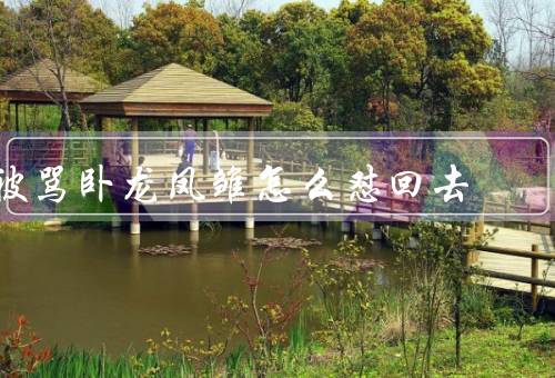 被骂卧龙凤雏怎么怼回去