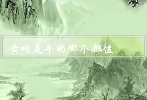 黄喉是牛的哪个部位