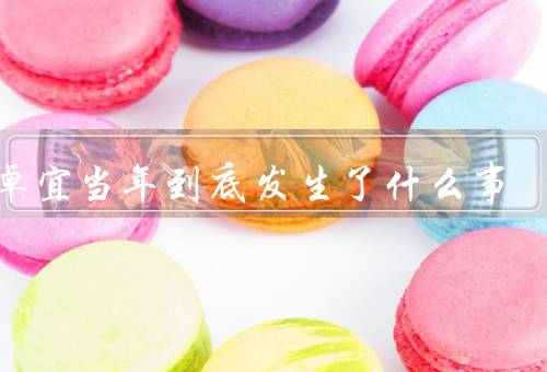 蔡卓宜当年到底发生了什么事