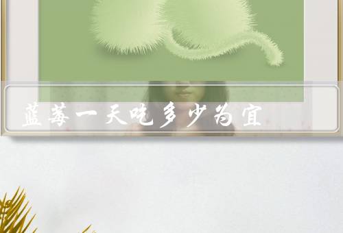 蓝莓一天吃多少为宜