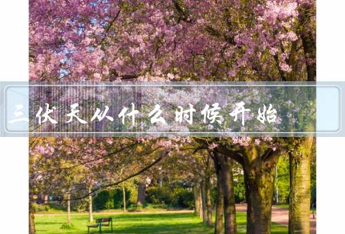 三伏天从什么时候开始