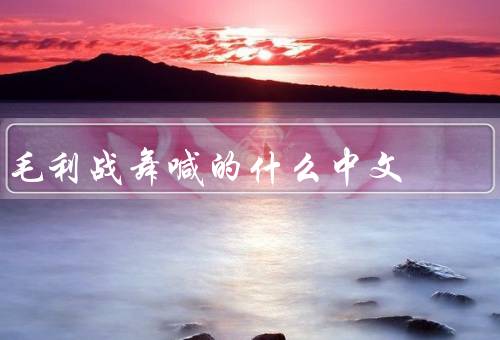 毛利战舞喊的什么中文