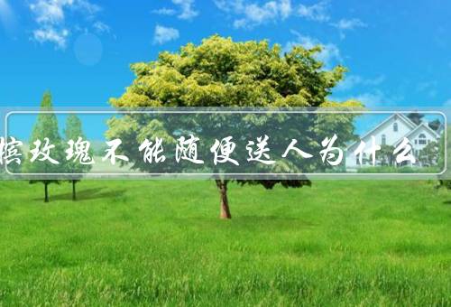 香槟玫瑰不能随便送人为什么