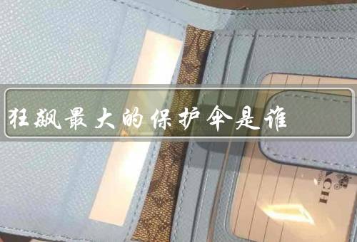 狂飙最大的保护伞是谁